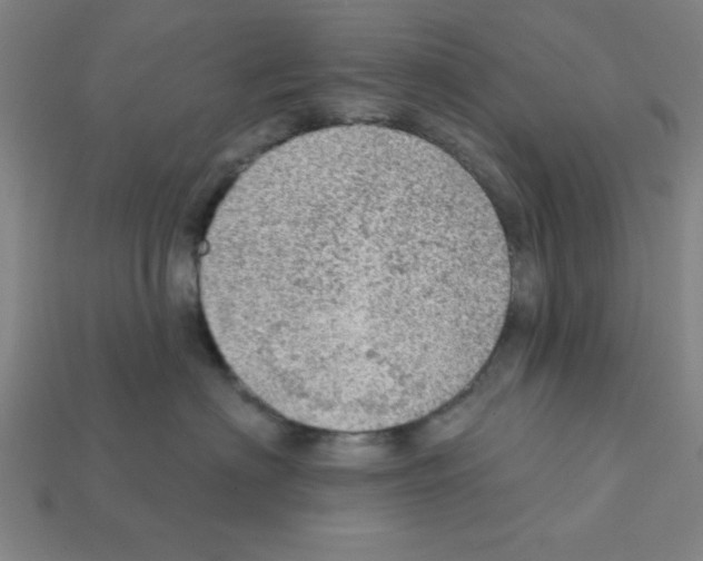 X0000111940622200909071301