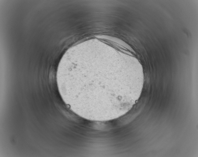 X0000111940623200909071301