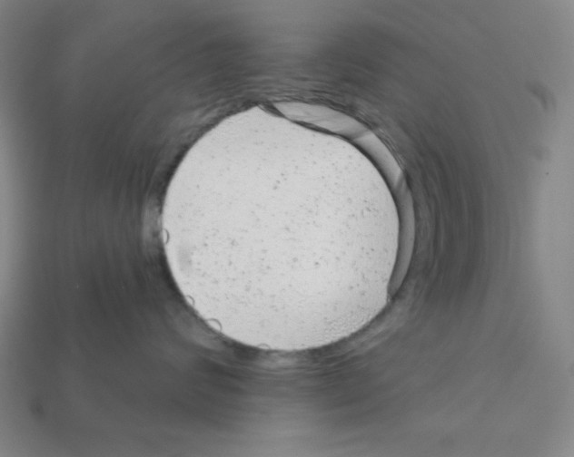X0000111940624200909071301