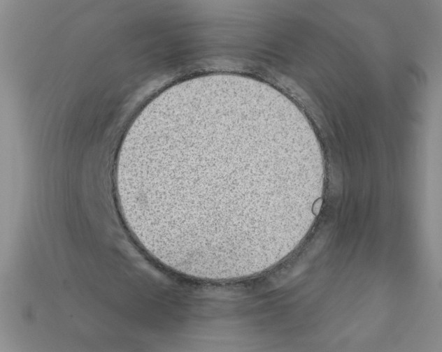 X0000111940625200909071300
