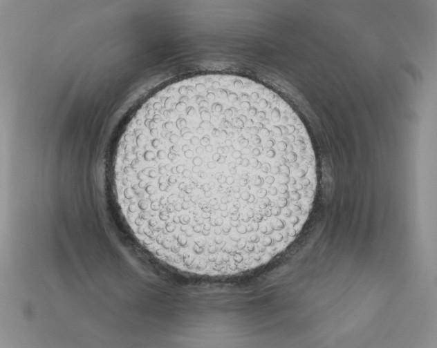 X0000111940626200909071300