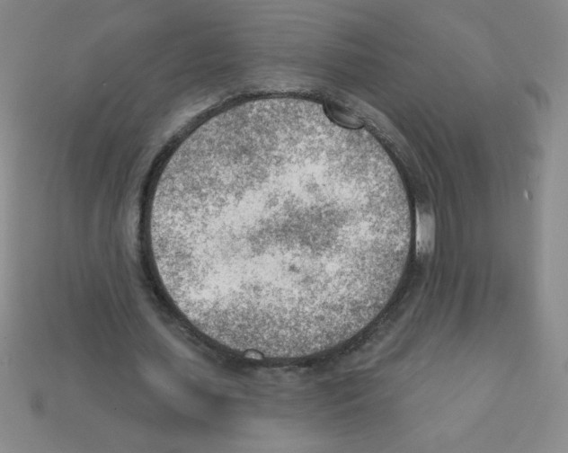 X0000111940627200909071300
