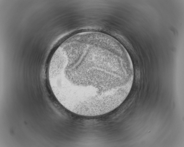 X0000111940628200909071300