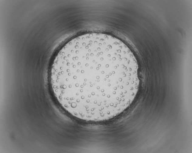 X0000111940629200909071300