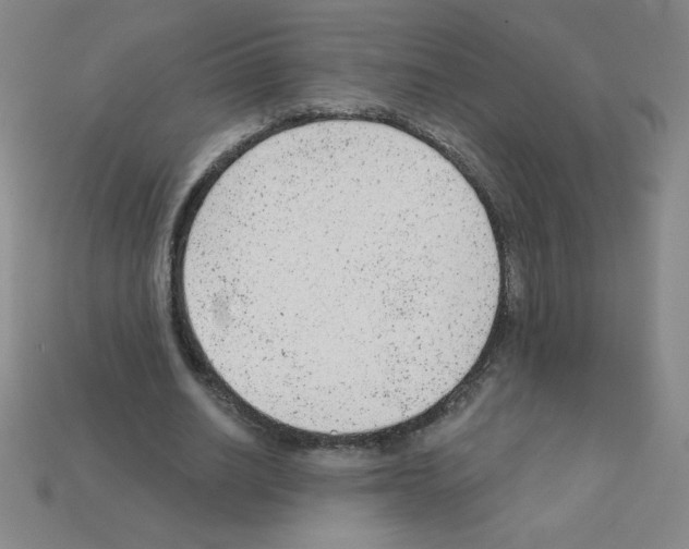 X0000111940630200909071300