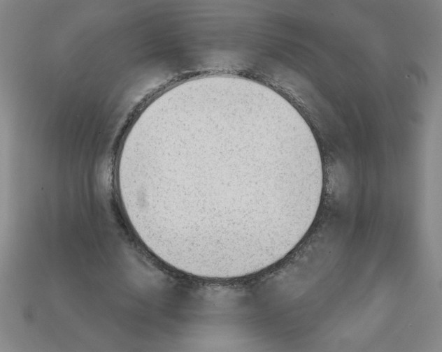 X0000111940632200909071300
