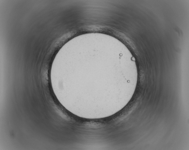 X0000111940633200909071300
