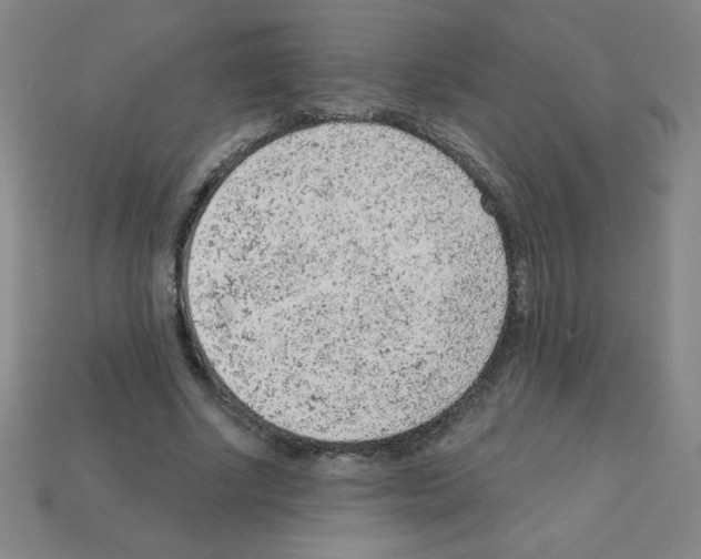 X0000111940634200909071300