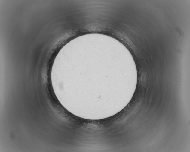X0000111940635200909071300