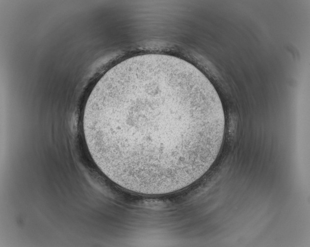 X0000111940636200909071300