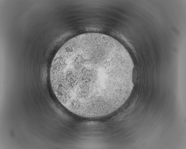 X0000111940637200909071300
