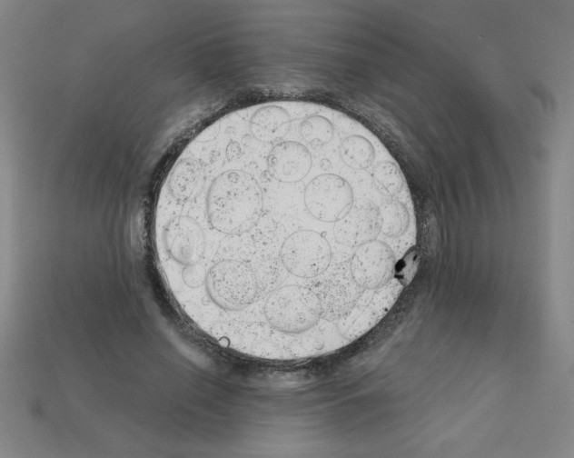 X0000111940638200909071300