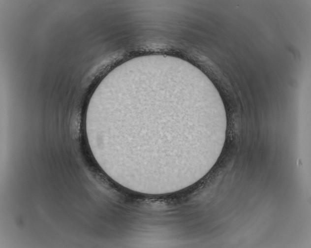 X0000111940640200909071300