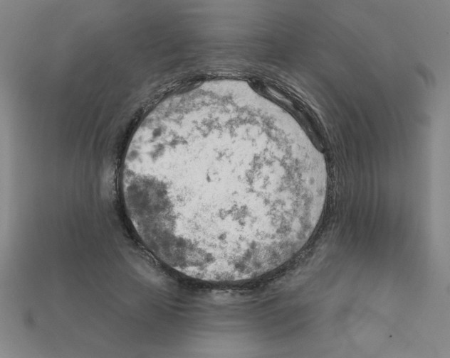 X0000111940641200909071300