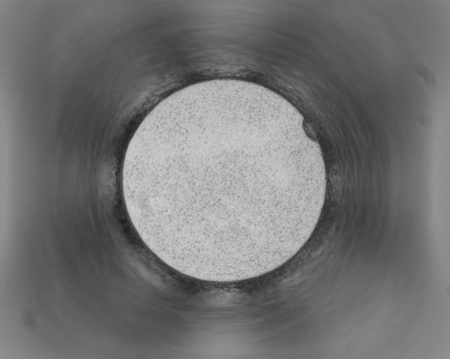 X0000111940642200909071300