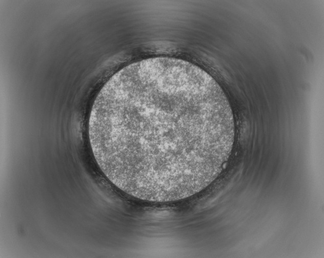 X0000111940643200909071300