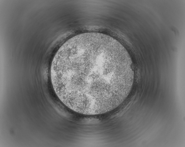 X0000111940644200909071300