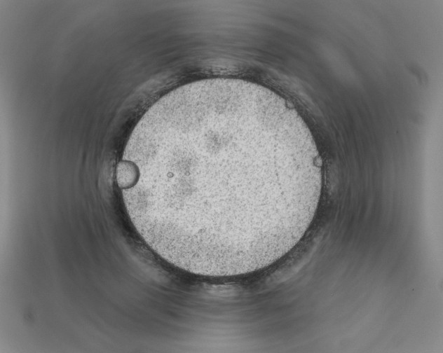X0000111940645200909071300
