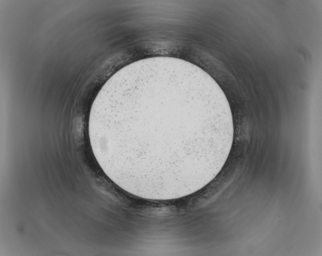 X0000111940646200909071300
