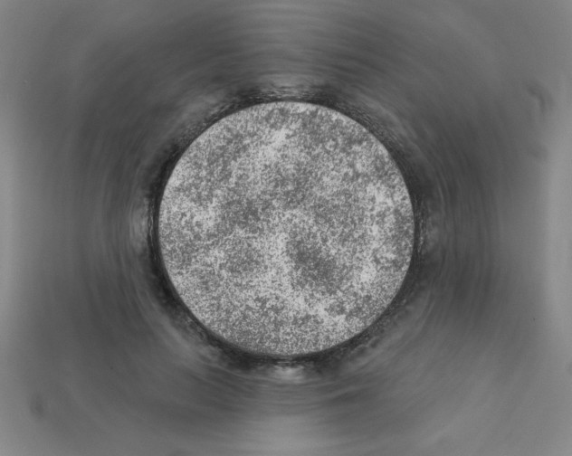 X0000111940647200909071300