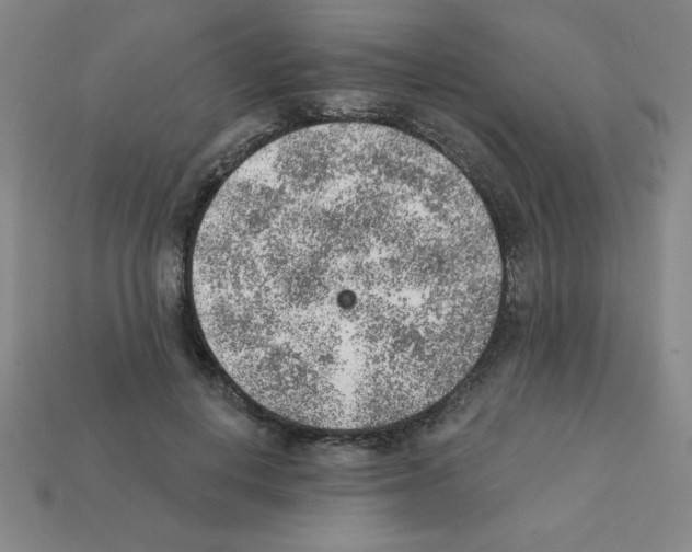 X0000111940648200909071300
