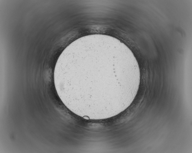 X0000111940649200909071300