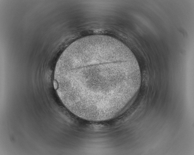 X0000111940650200909071300