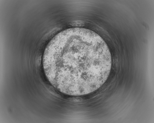 X0000111940652200909071300