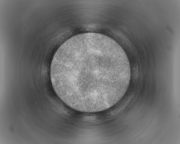 X0000111940653200909071301