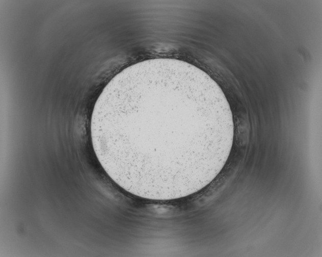 X0000111940654200909071301