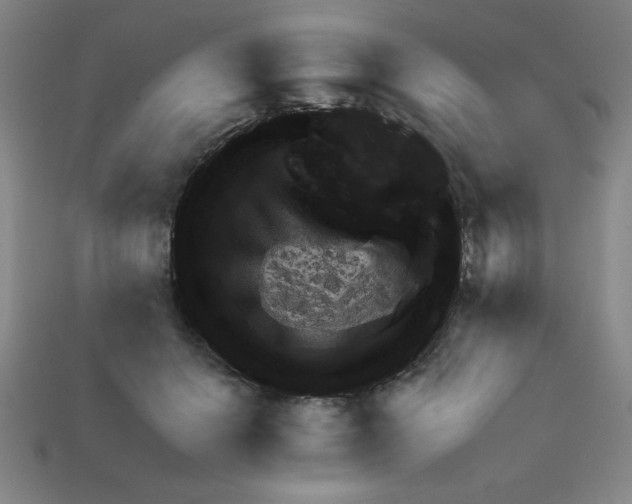 X0000111940656200909071301