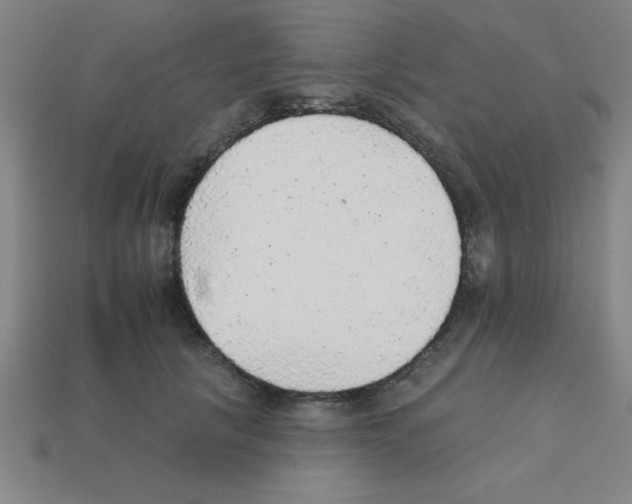 X0000111940657200909071301