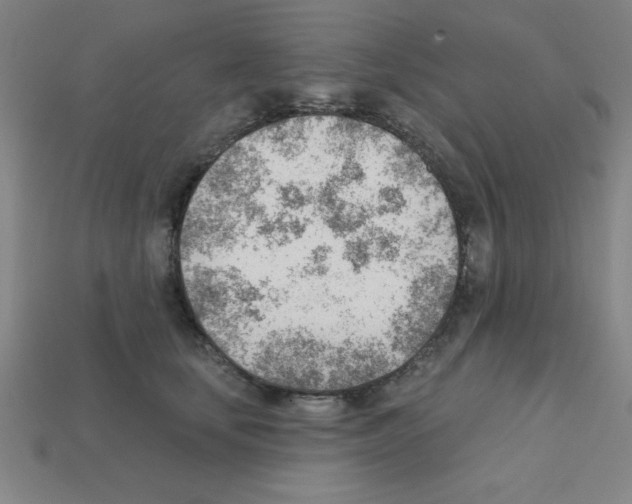 X0000111940659200909071301