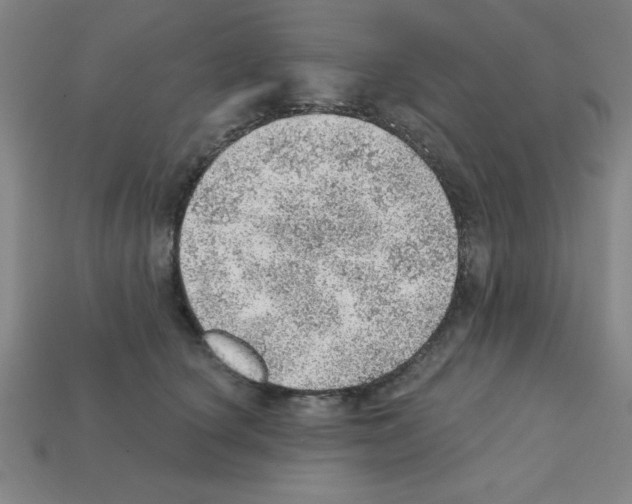 X0000111940660200909071301