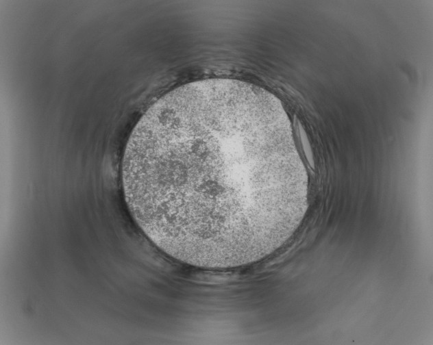 X0000111940661200909071301