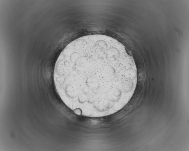 X0000111940662200909071301