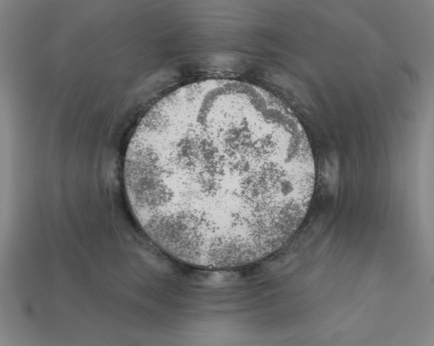 X0000111940663200909071301