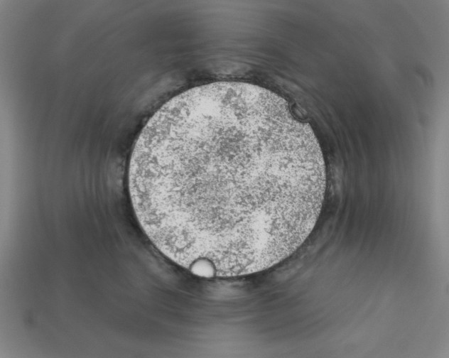 X0000111940664200909071301