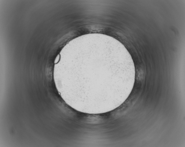 X0000111940666200909071301
