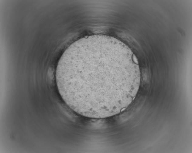X0000111940667200909071301