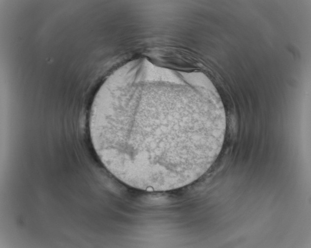 X0000111940668200909071301