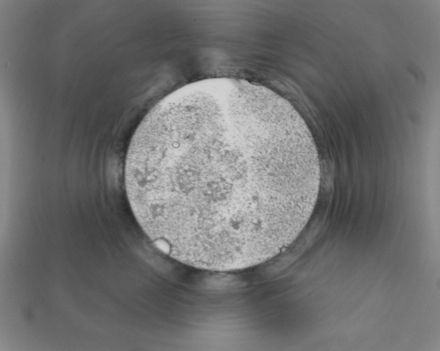 X0000111940669200909071301