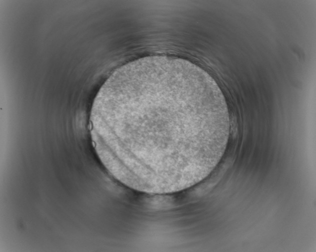 X0000111940670200909071301
