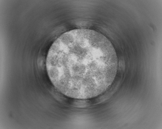 X0000111940671200909071301