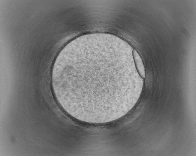 X0000111940673200909071300
