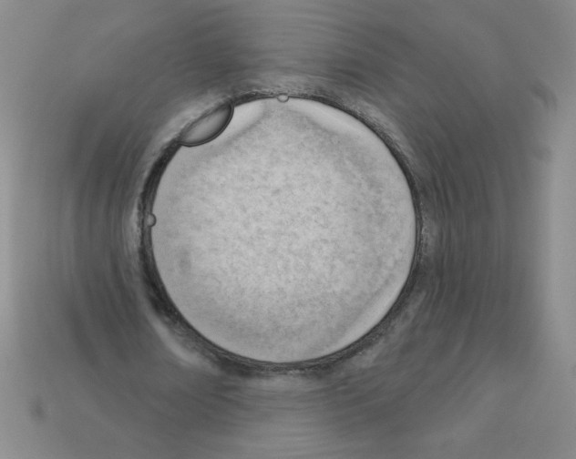 X0000111940674200909071300
