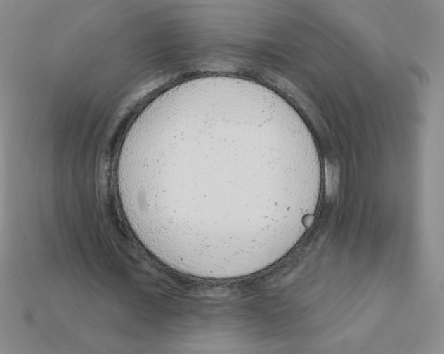 X0000111940675200909071300