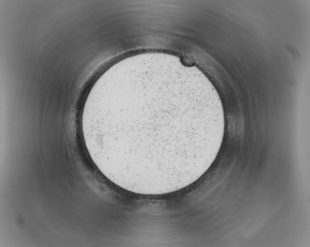 X0000111940676200909071300
