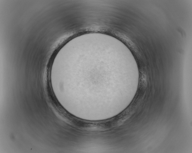 X0000111940678200909071300