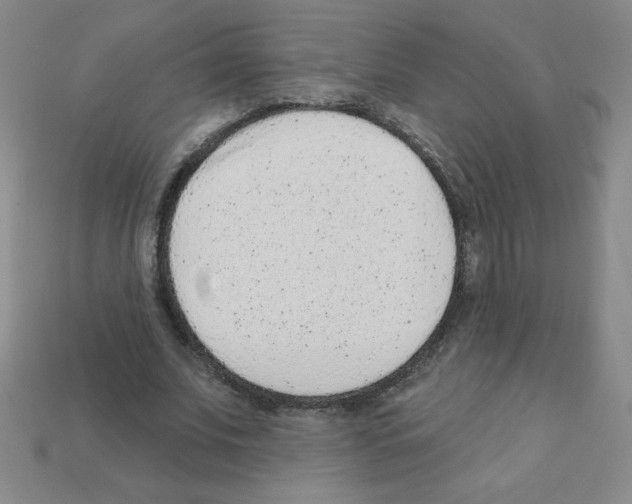 X0000111940679200909071300